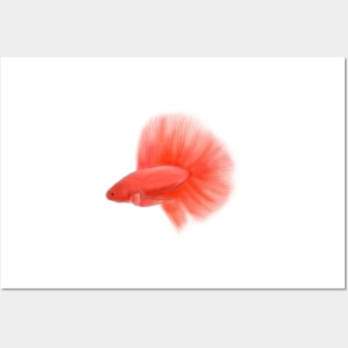 Betta Fish Red Posters and Art